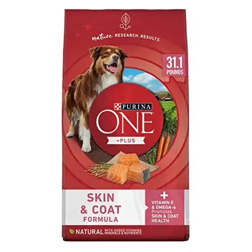 Purina ONE Sensitive Stomach dry dog food bag with salmon