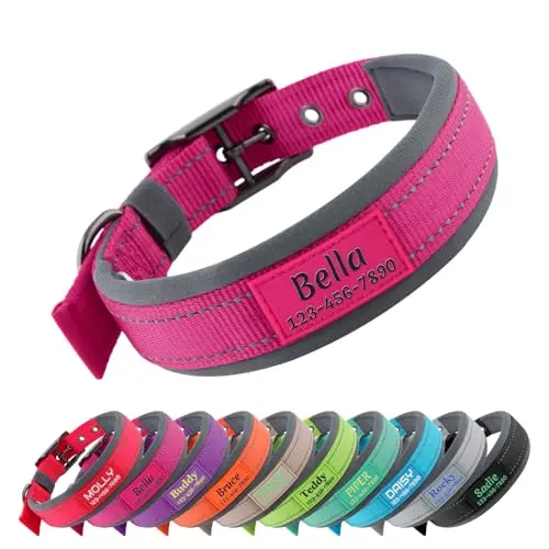 PLUTUS PET Personalized Neoprene Padded Dog Collar