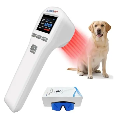 MBBQNN veterinary-grade laser therapy machine for at-home dog care.